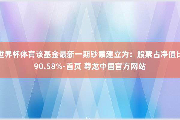 世界杯体育该基金最新一期钞票建立为：股票占净值比90.58%-首页 尊龙中国官方网站