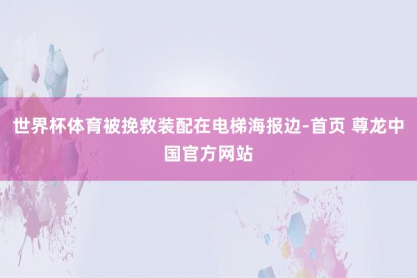 世界杯体育被挽救装配在电梯海报边-首页 尊龙中国官方网站