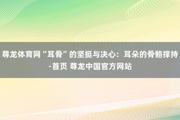 尊龙体育网“耳骨”的坚挺与决心：耳朵的骨骼撑持-首页 尊龙中国官方网站