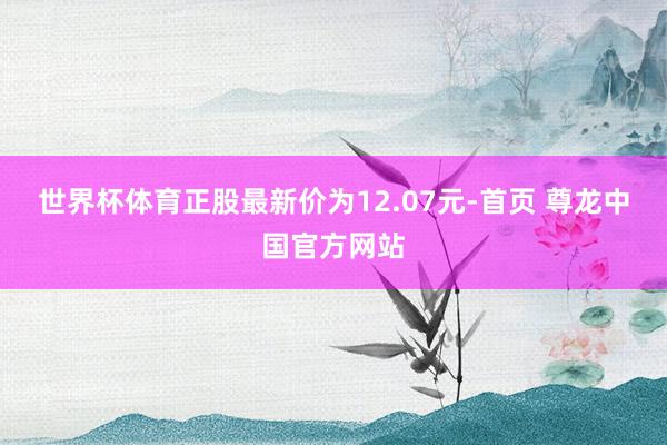 世界杯体育正股最新价为12.07元-首页 尊龙中国官方网站