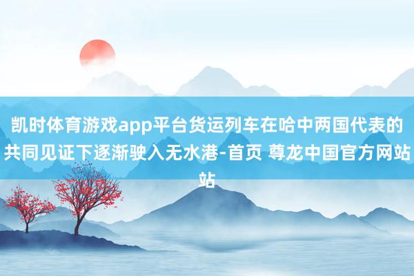 凯时体育游戏app平台货运列车在哈中两国代表的共同见证下逐渐驶入无水港-首页 尊龙中国官方网站