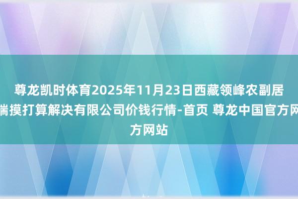 尊龙凯时体育2025年11月23日西藏领峰农副居品揣摸打算解决有限公司价钱行情-首页 尊龙中国官方网站