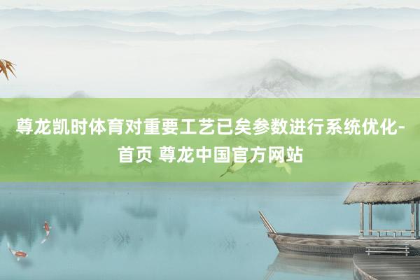 尊龙凯时体育对重要工艺已矣参数进行系统优化-首页 尊龙中国官方网站