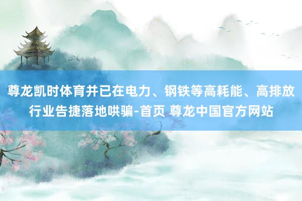 尊龙凯时体育并已在电力、钢铁等高耗能、高排放行业告捷落地哄骗-首页 尊龙中国官方网站
