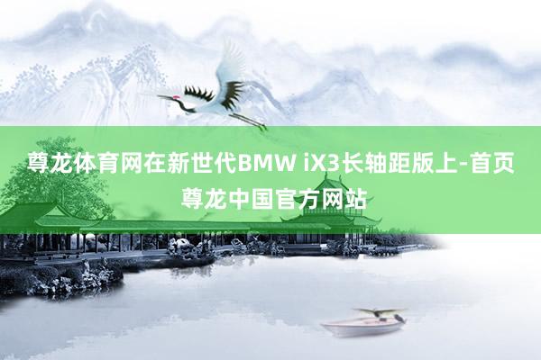尊龙体育网在新世代BMW iX3长轴距版上-首页 尊龙中国官方网站